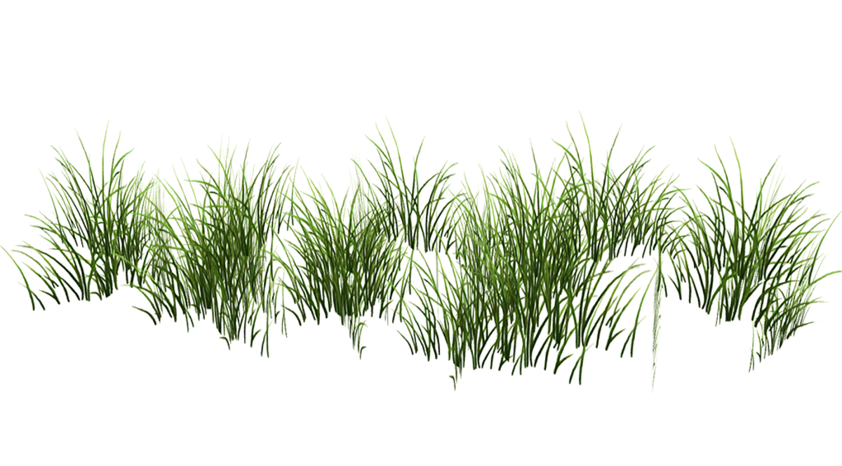 Grass Patch Medium v2