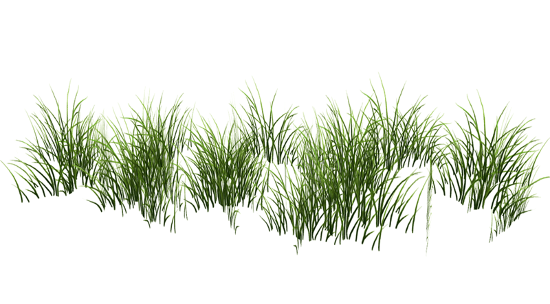 Grass Patch Medium v2