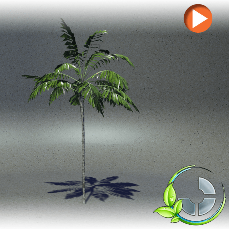 Animated Skinny 1- b