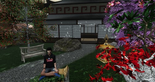 The Samurai Sanctuary