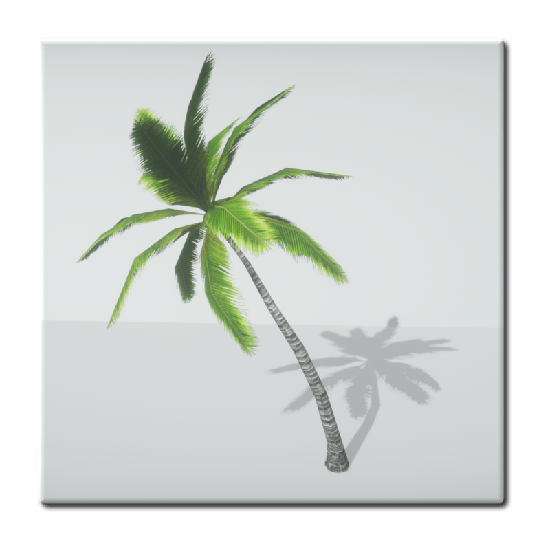 Palm Tree 2