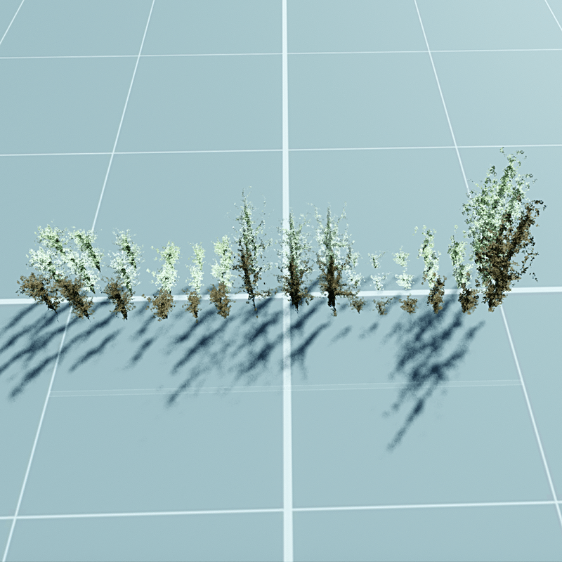 TKA Pack IVY 15 pieces with 3 textured