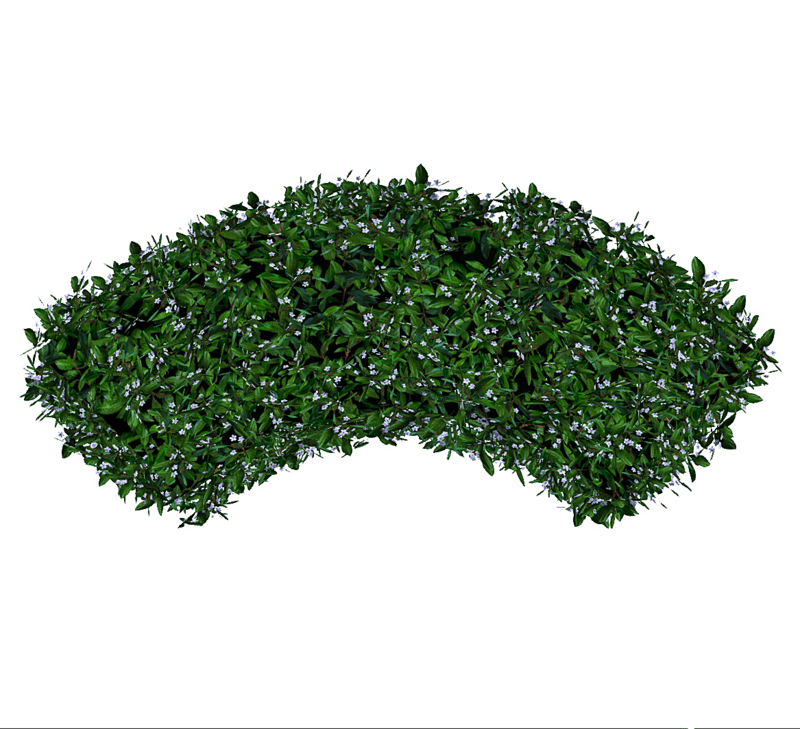 Hedge Curved - Lilac Flowers