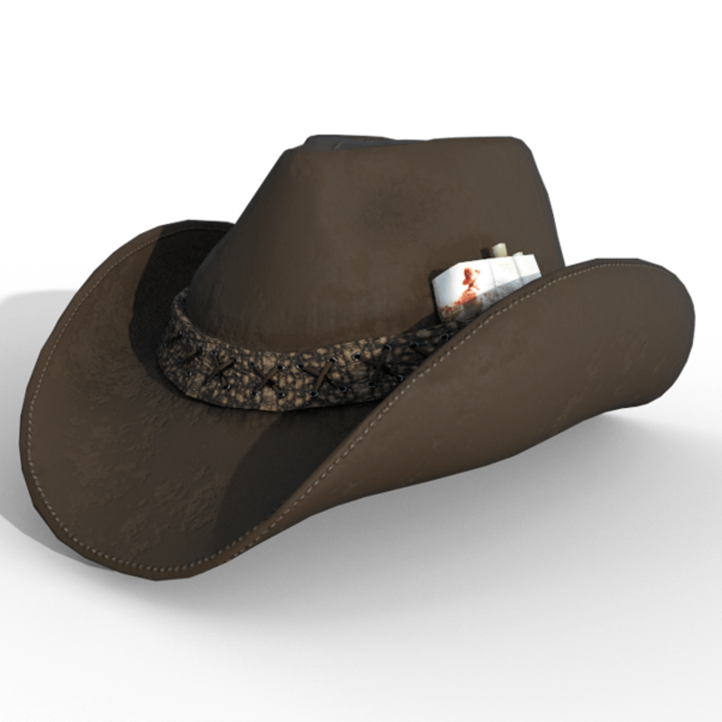 Cowboy Hat