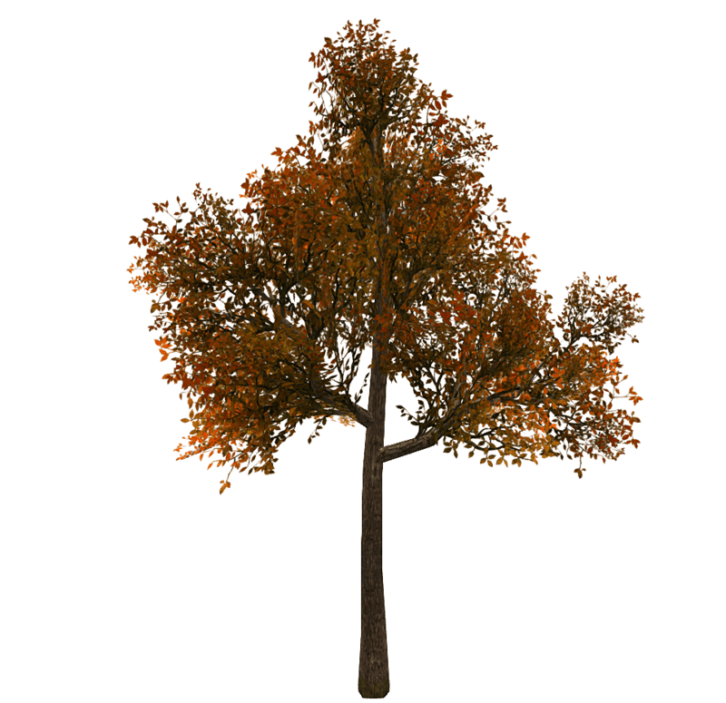 Tree 8 - Copper
