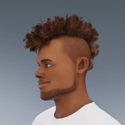 PANKHAIR_CELEBRATION_2:0 AVI