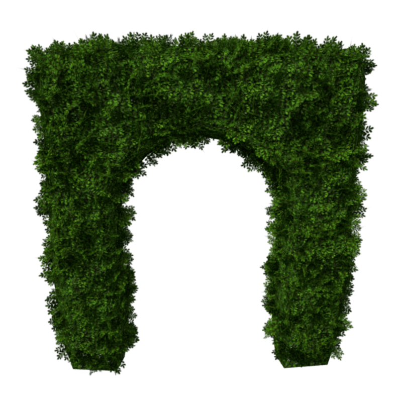 Hedge Arch 4x6 (Summer)