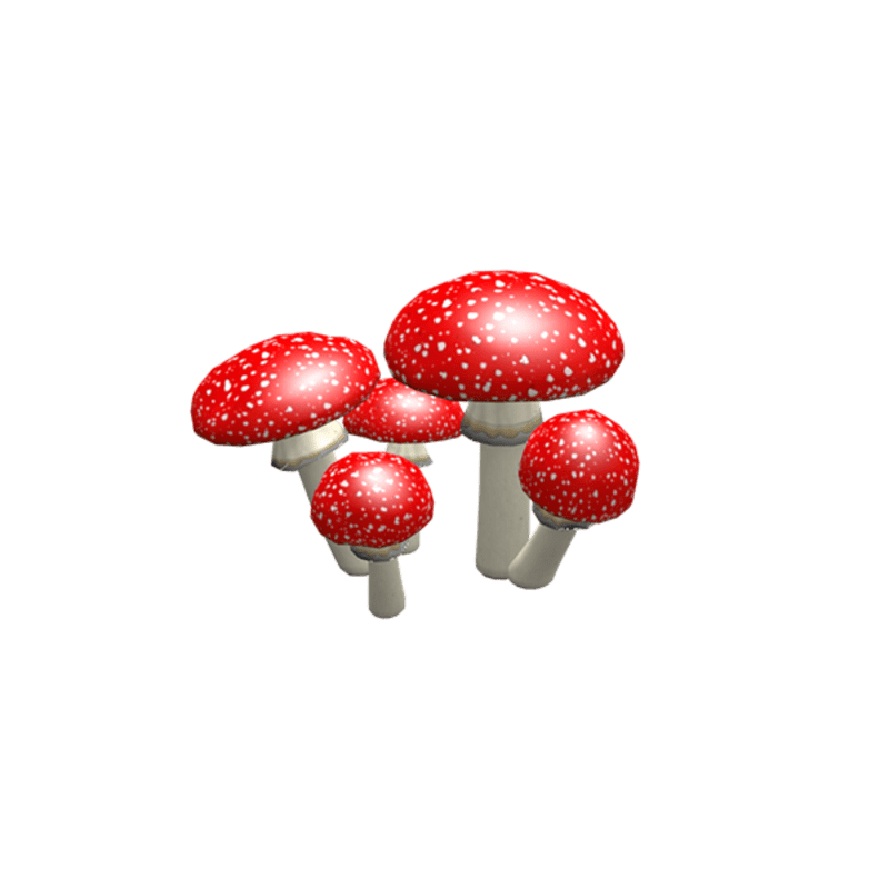 Mushrooms 3