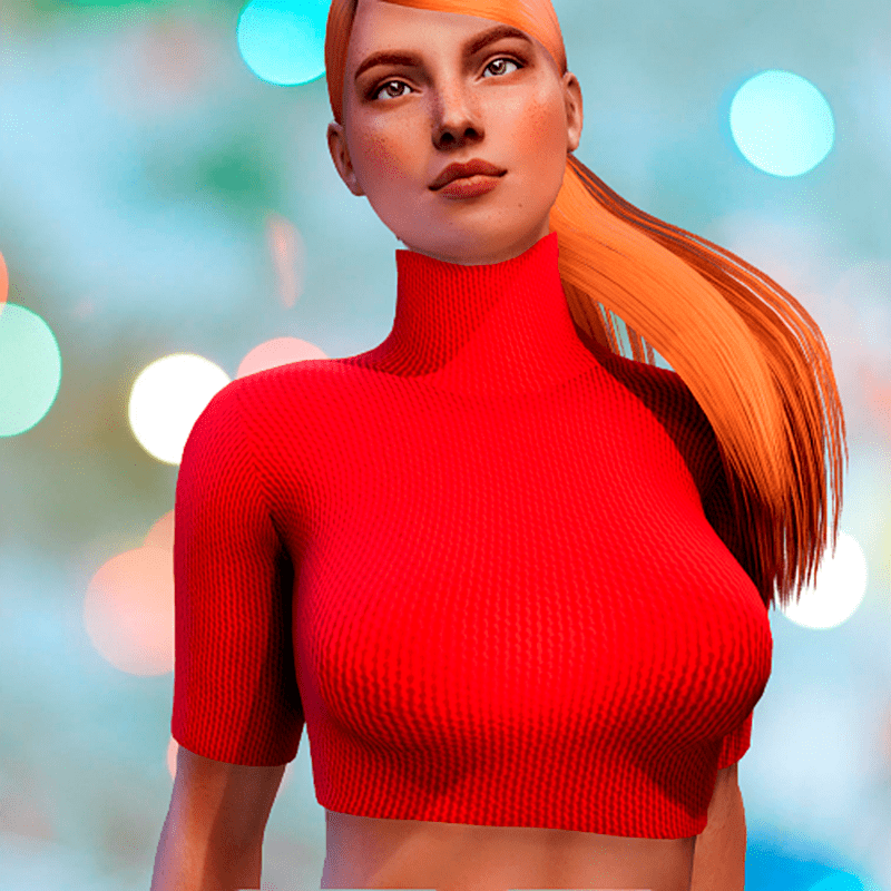 ✿ Turtleneck Top ✿