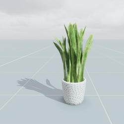 Pot Plant Medium