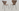Design Dining Chair - Wood 01 - E