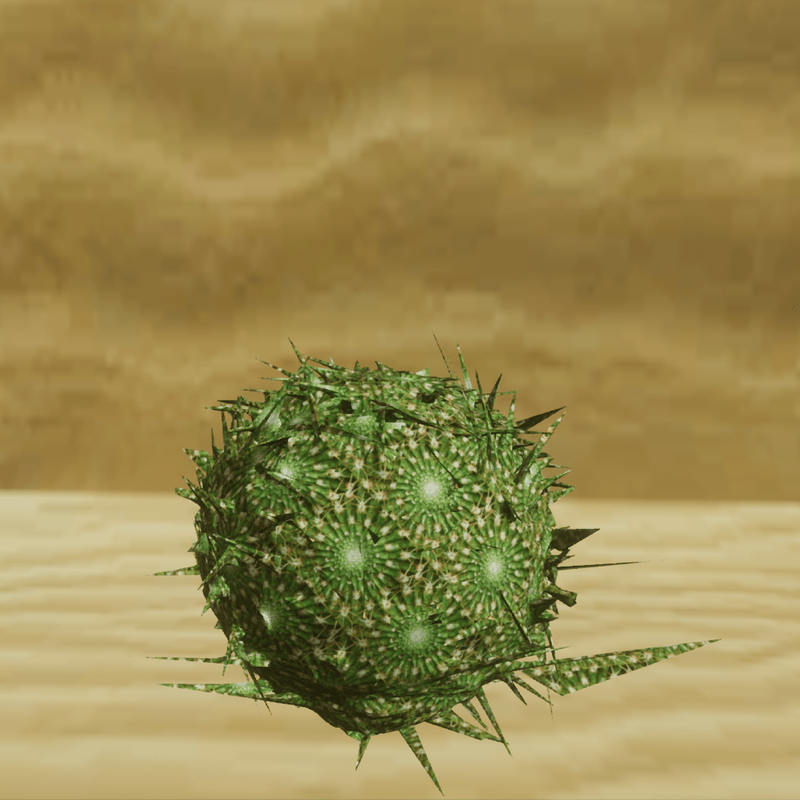 Sculpted Cactus Rosetta Stars