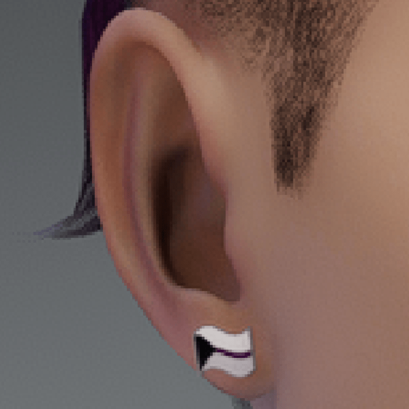 pride earrings demisexual