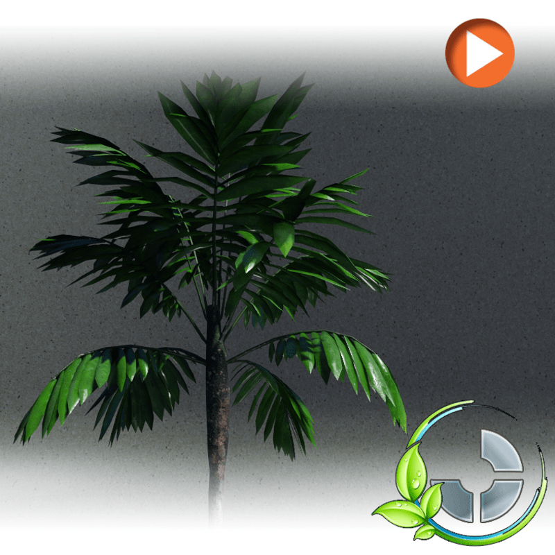 Animated Palmtree 1