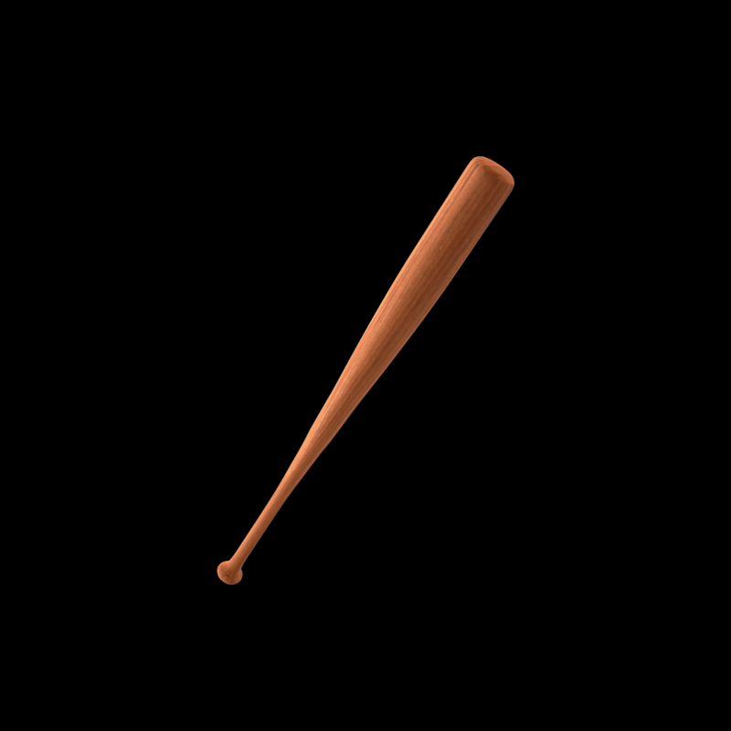 Baseball Bat
