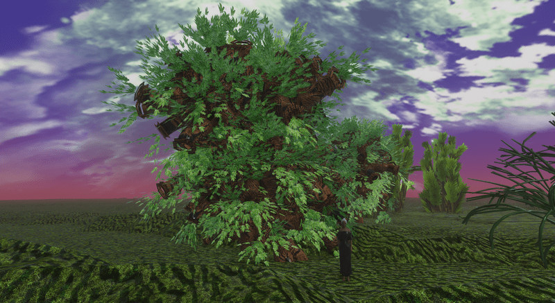 1000 Year Old Marijuana Plant