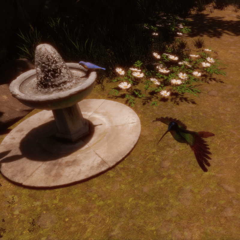 Kolibri mit Animation 2 update