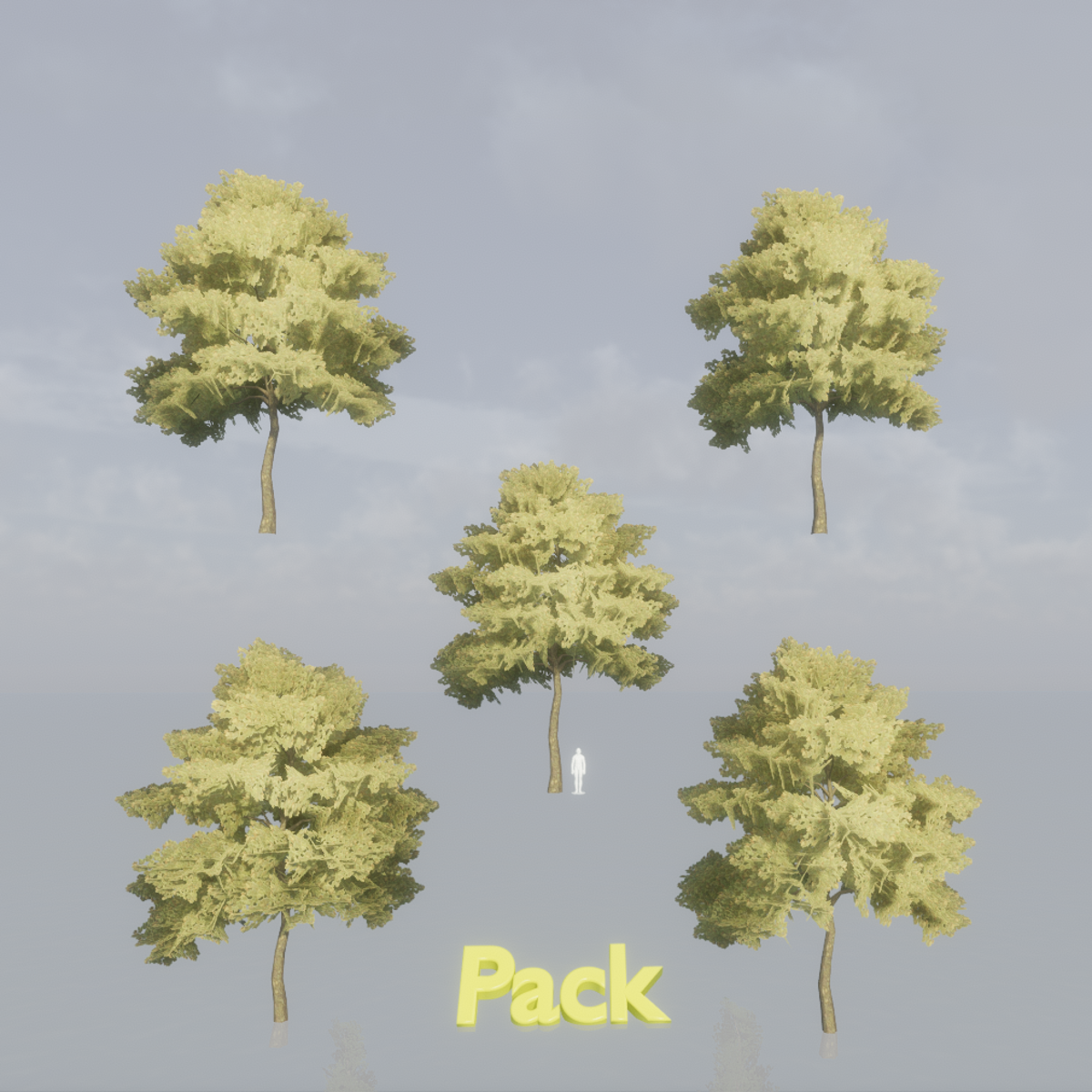 Sycamore Tree Pack (5 variations)