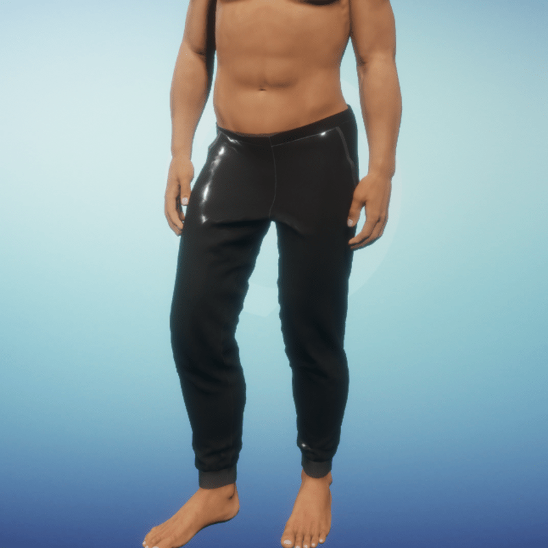 Pants in Grey with Shine