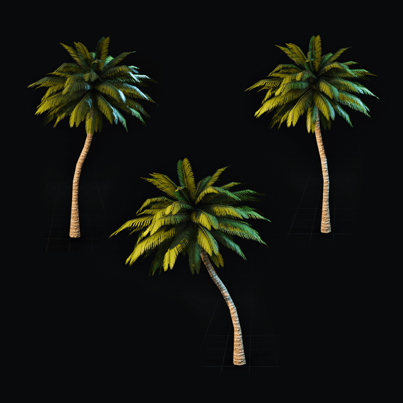 Polygon ~ Palm Tree Collection