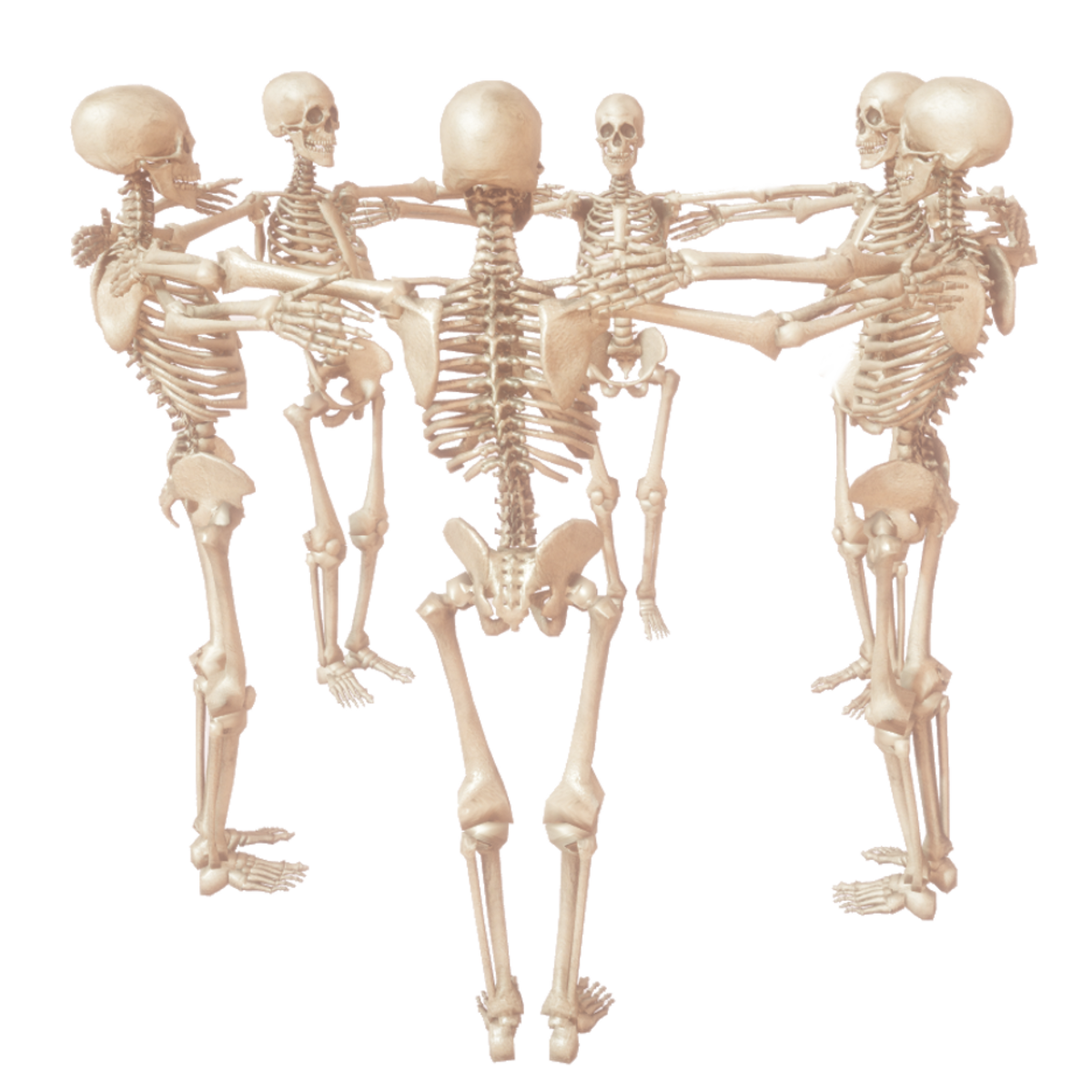 Danse Macabre jump anim