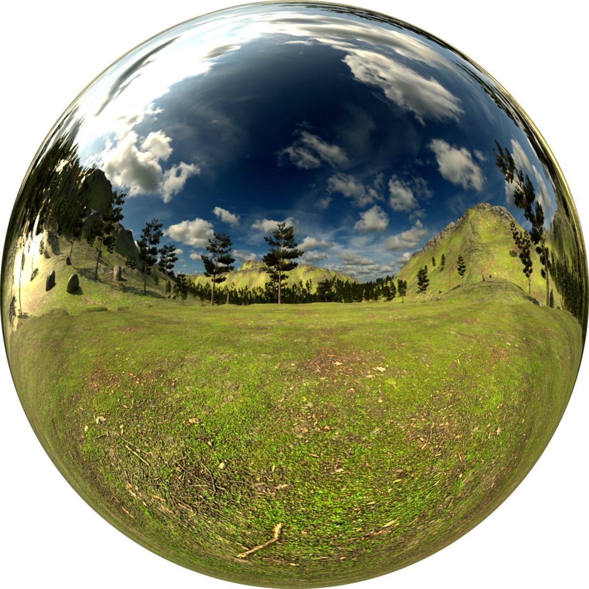 Canyon Forest Ground Level