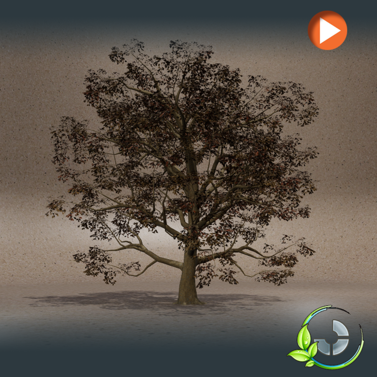 Animated Bigtree-IV Autumn