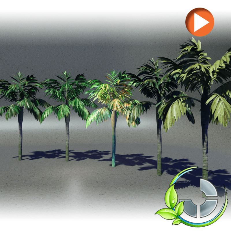 Combo Animated Palmtree2