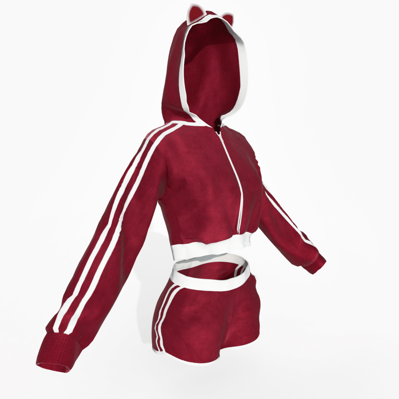 Hoodie and Shorts Red