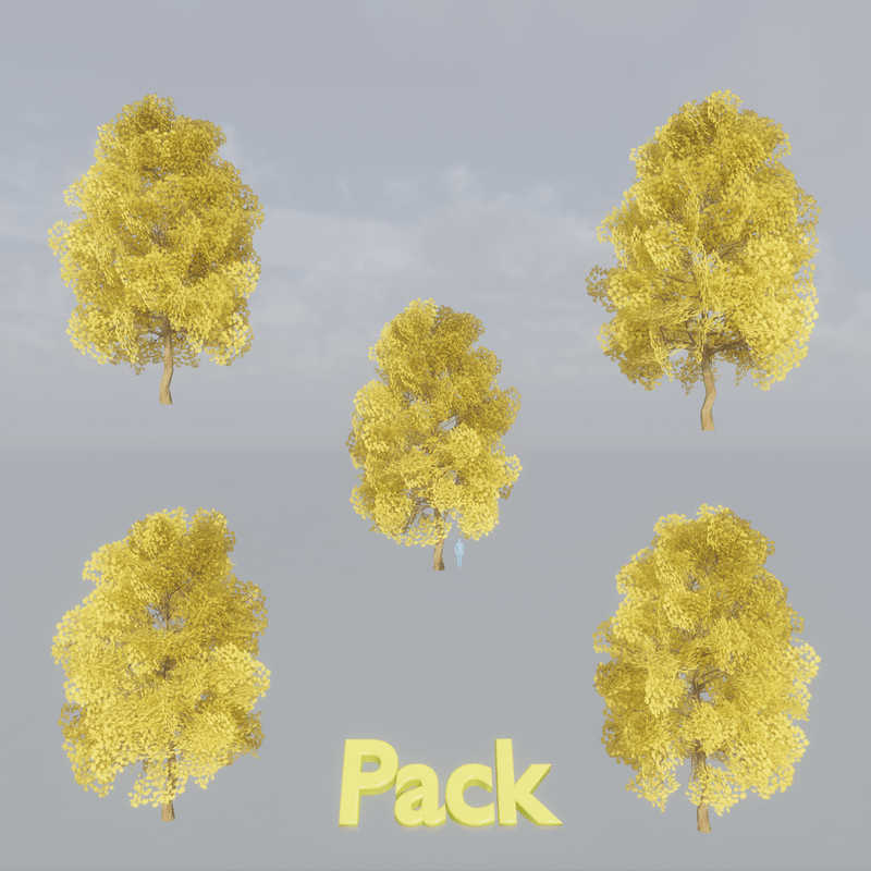 Maple Tree Pack Yellow