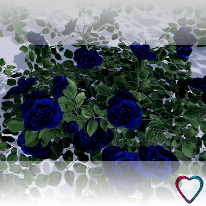 Rose Flowers - Blue