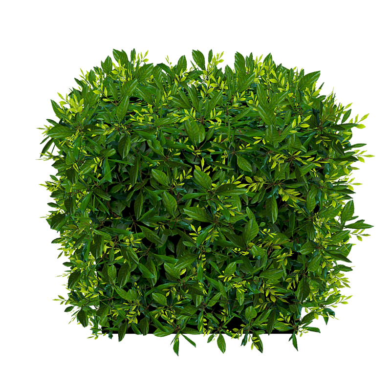 Hedge Small - Spring