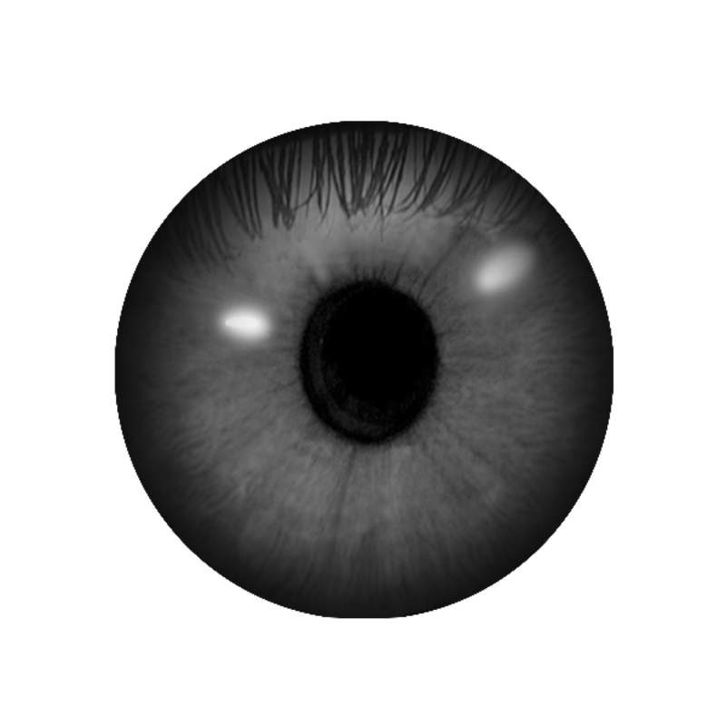 Contact Lenses (female) - Grey