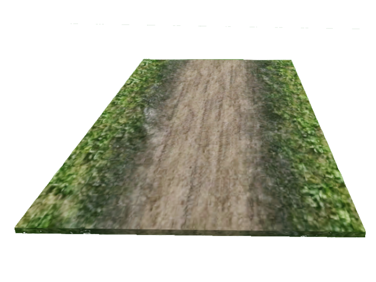 Path Straight Forest