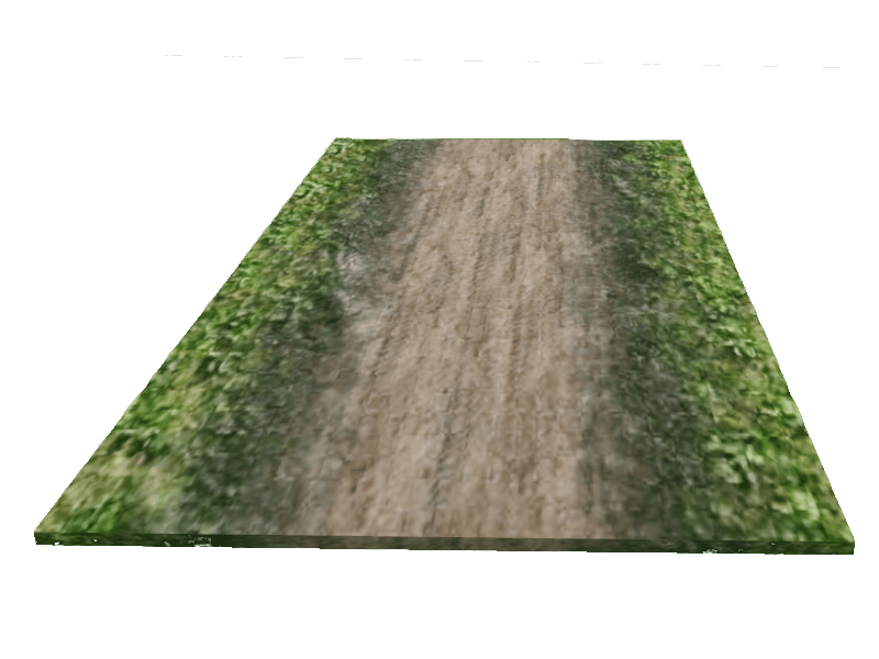 Path Straight Forest