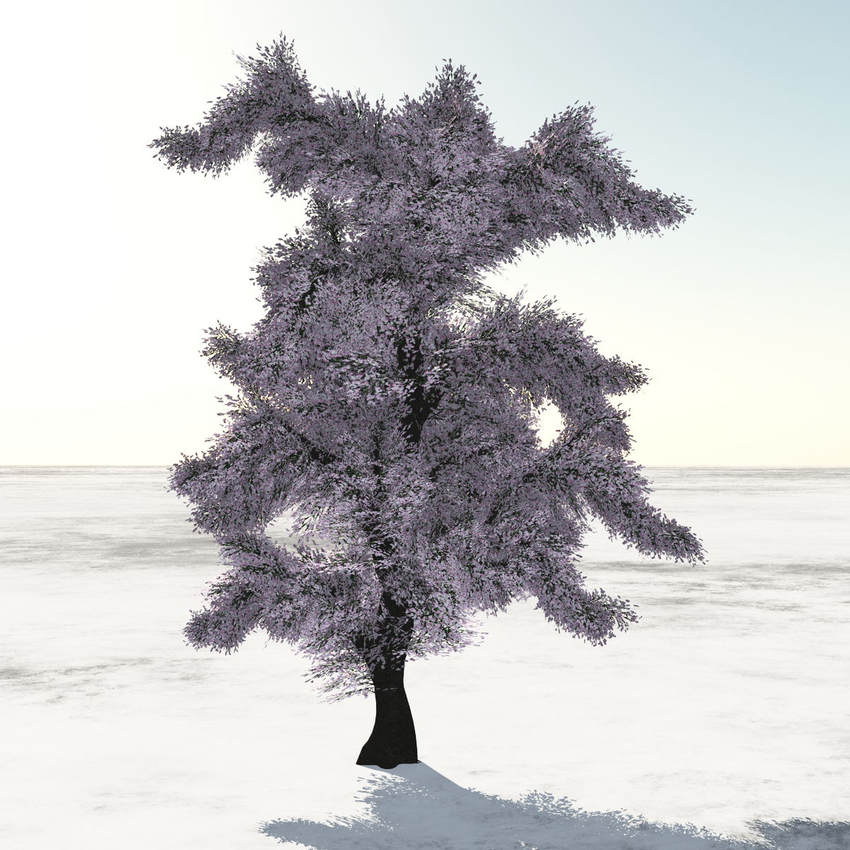 Cherry Tree, animated with wind effect