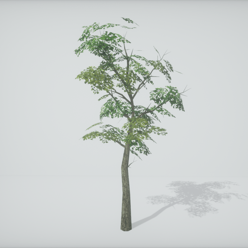 TKA-Tree 1B