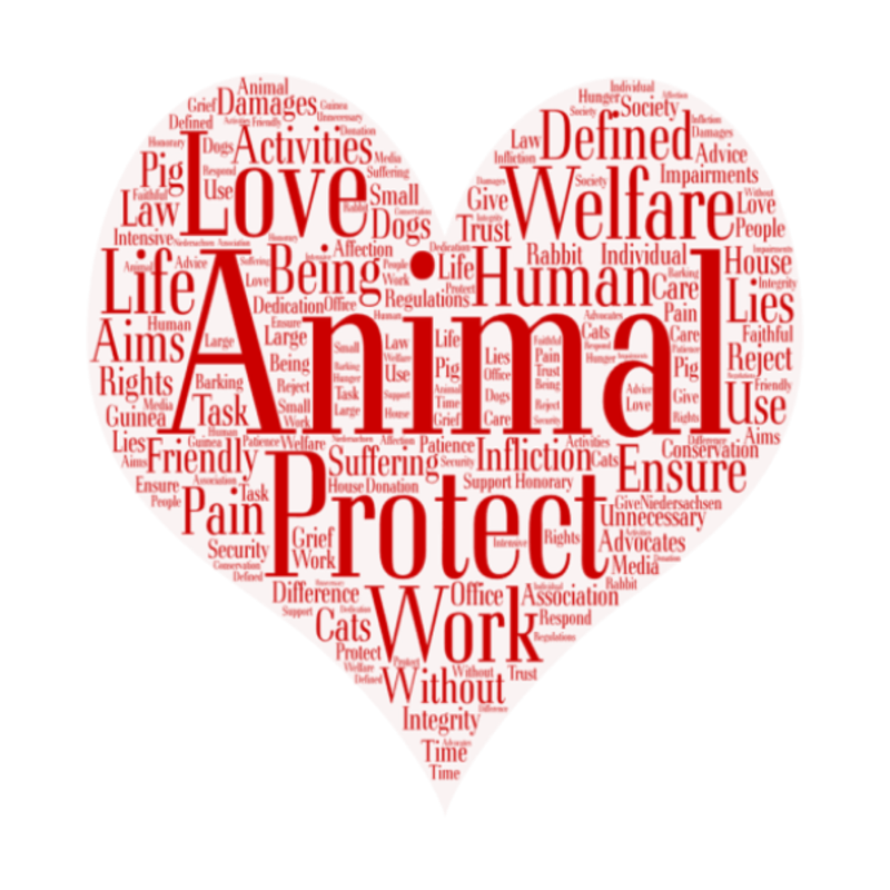 Heart Word Wall Decal