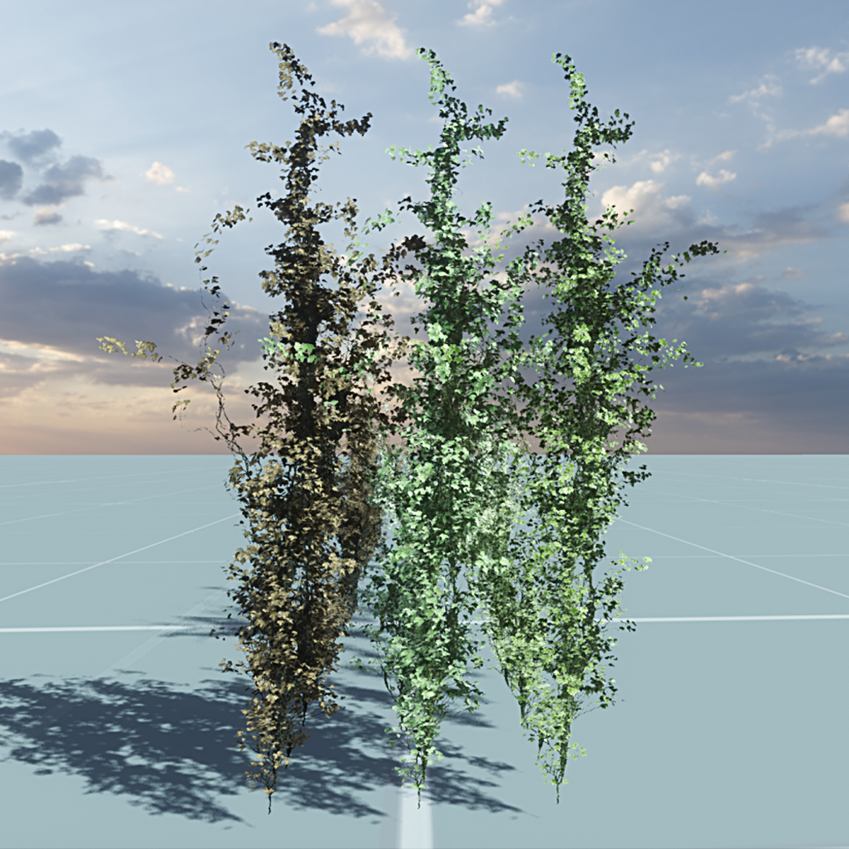 TKA Pack IVY 15 pieces with 3 textured