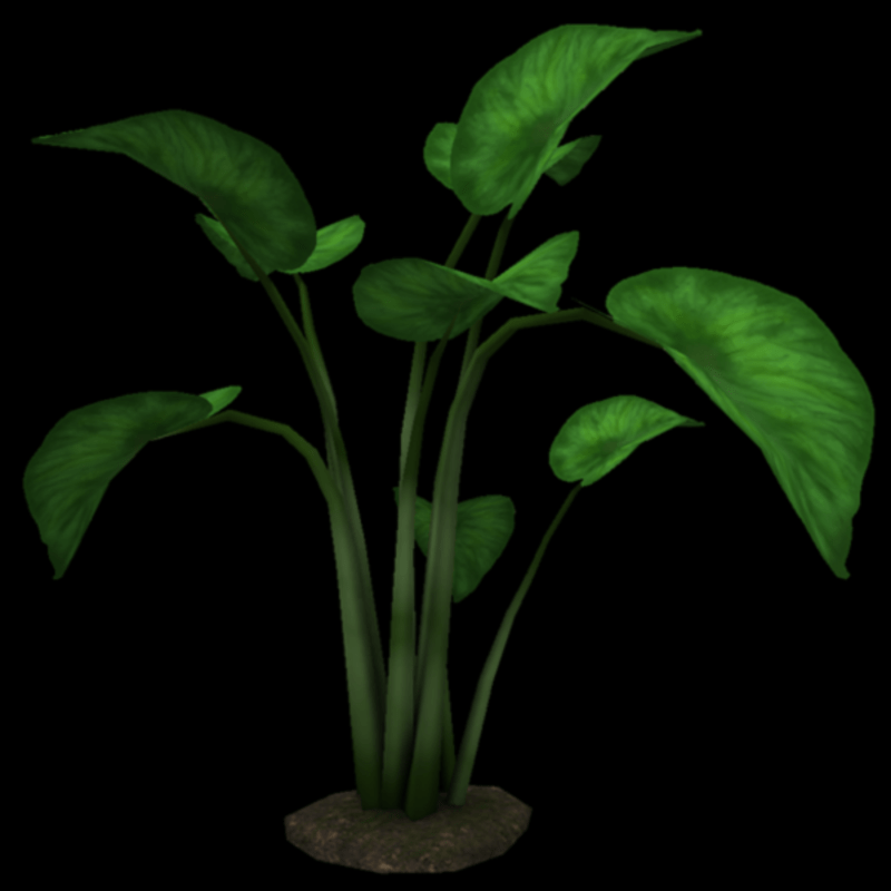 MG - Tropical Plant - Elephant Ear v1