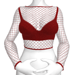 Rhyanna Tight Fishnet Top with Bra