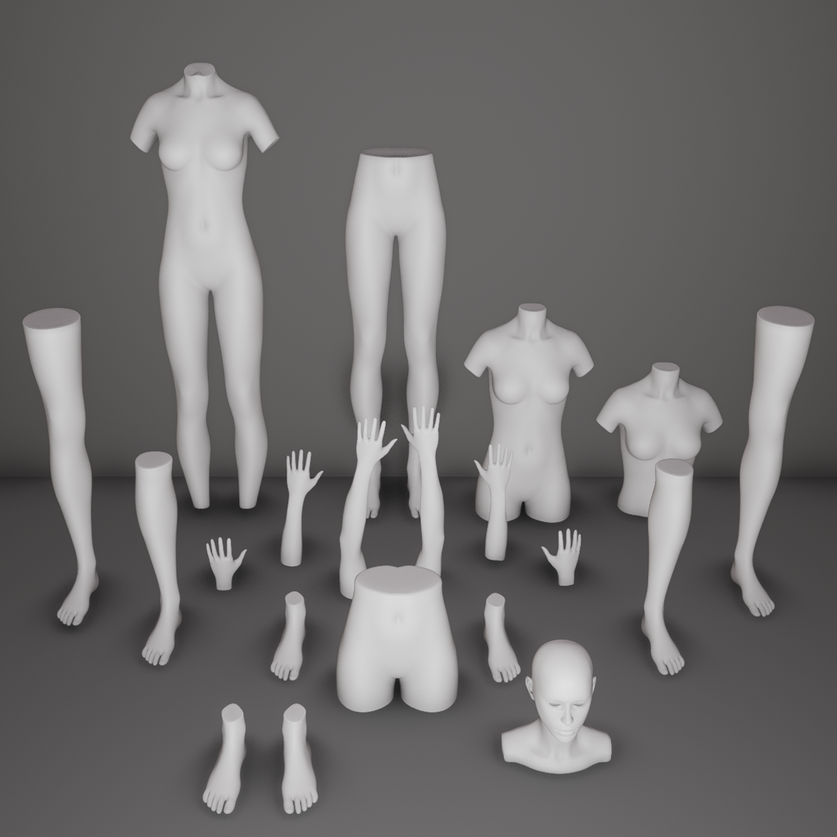 AV 2.0 Mannequin Body Parts Store Displays