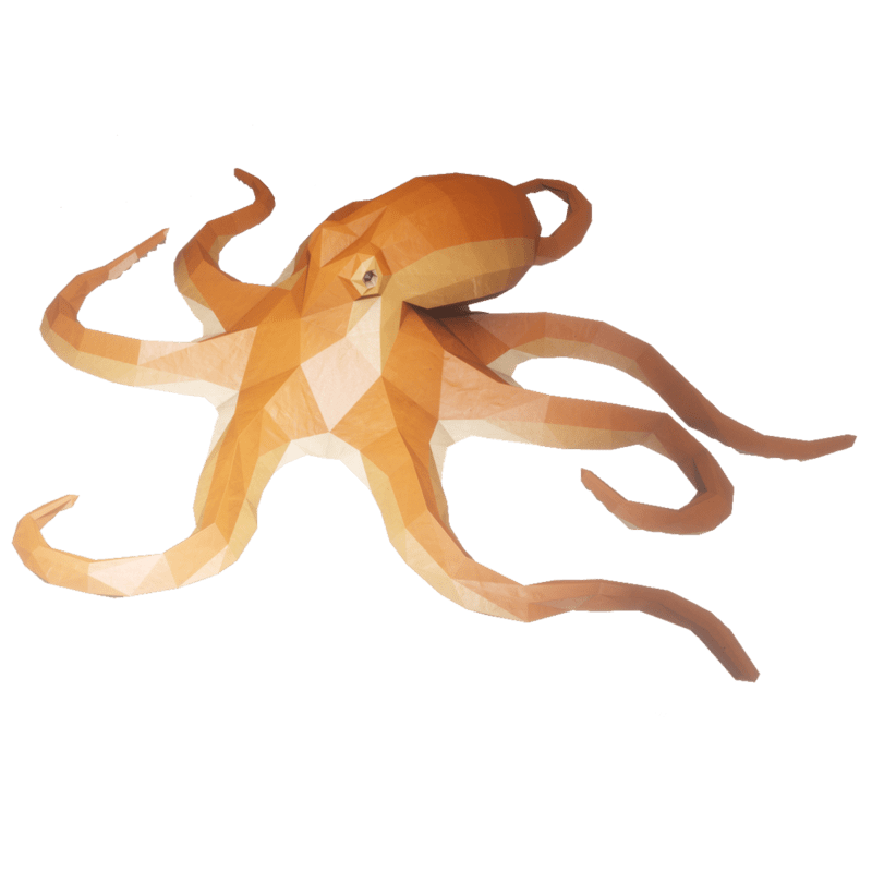 Hovering Octopus