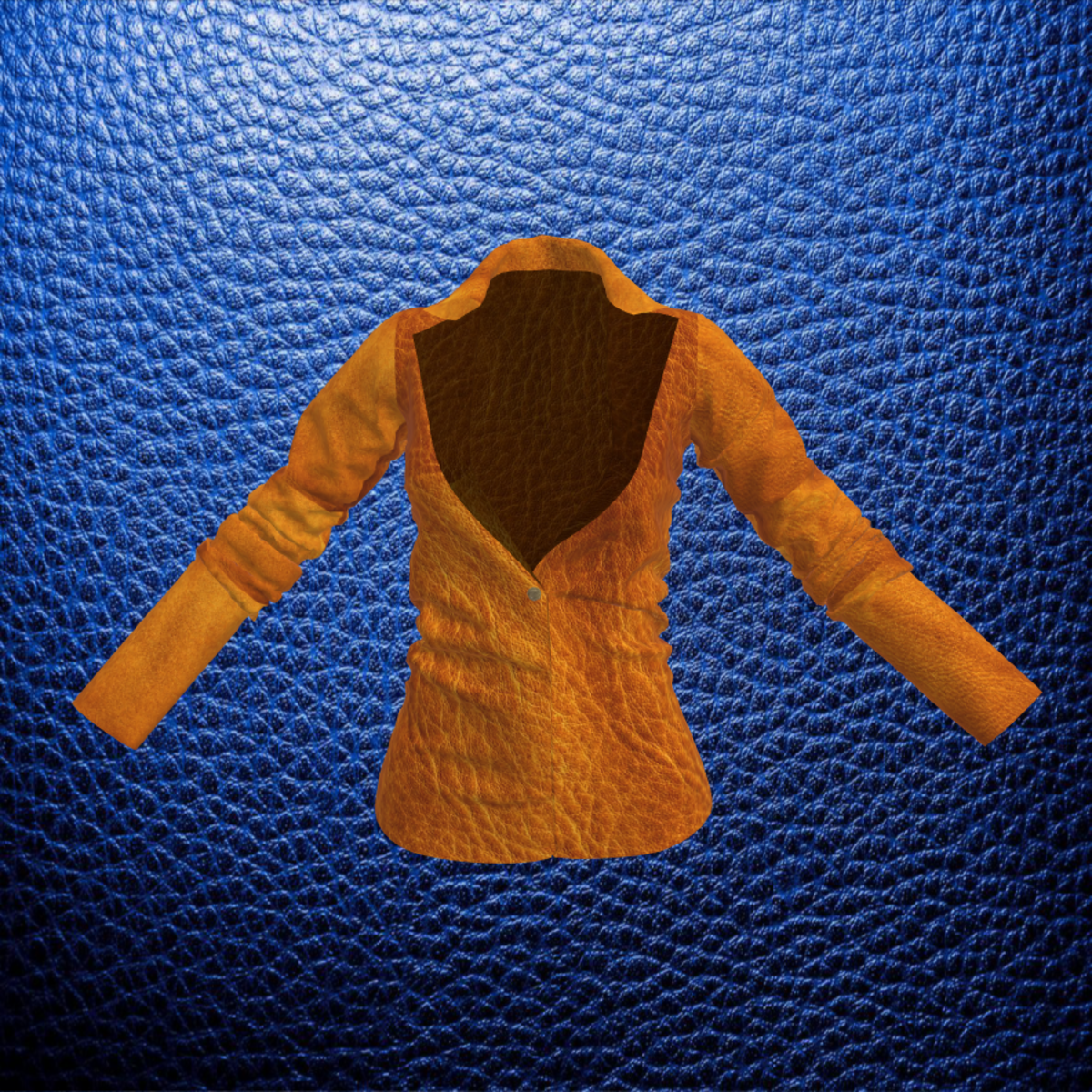 Brown Leather Jacket