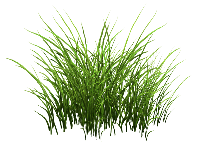 Grass Patch Small v2
