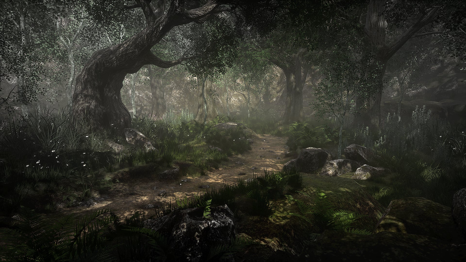 Skye Naturae Virtualis