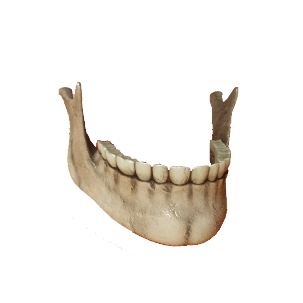 Skull v2 JAWBONE with collision