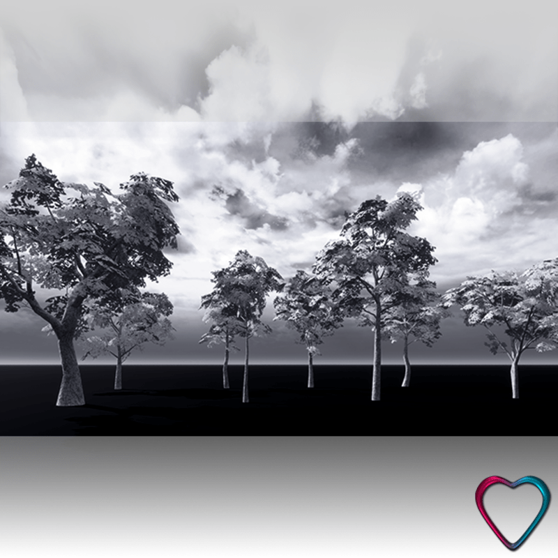 8 White Pencil Trees