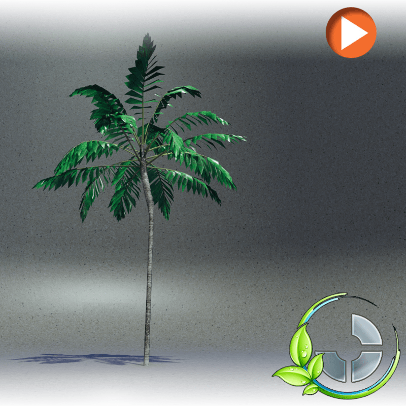 Animated Skinny 1- d