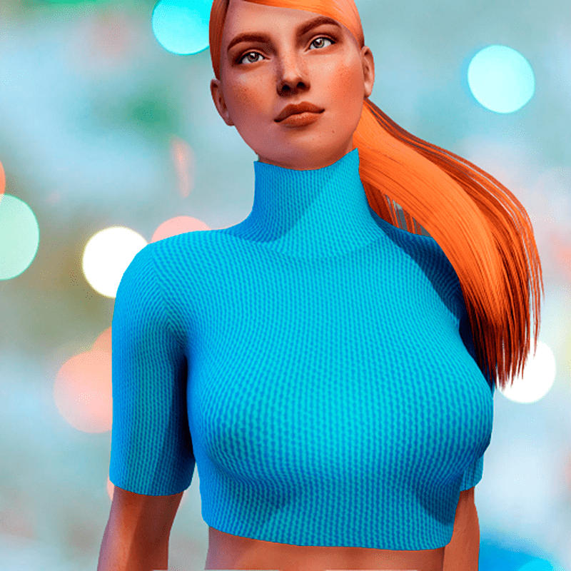 ✿ Turtleneck Top ✿